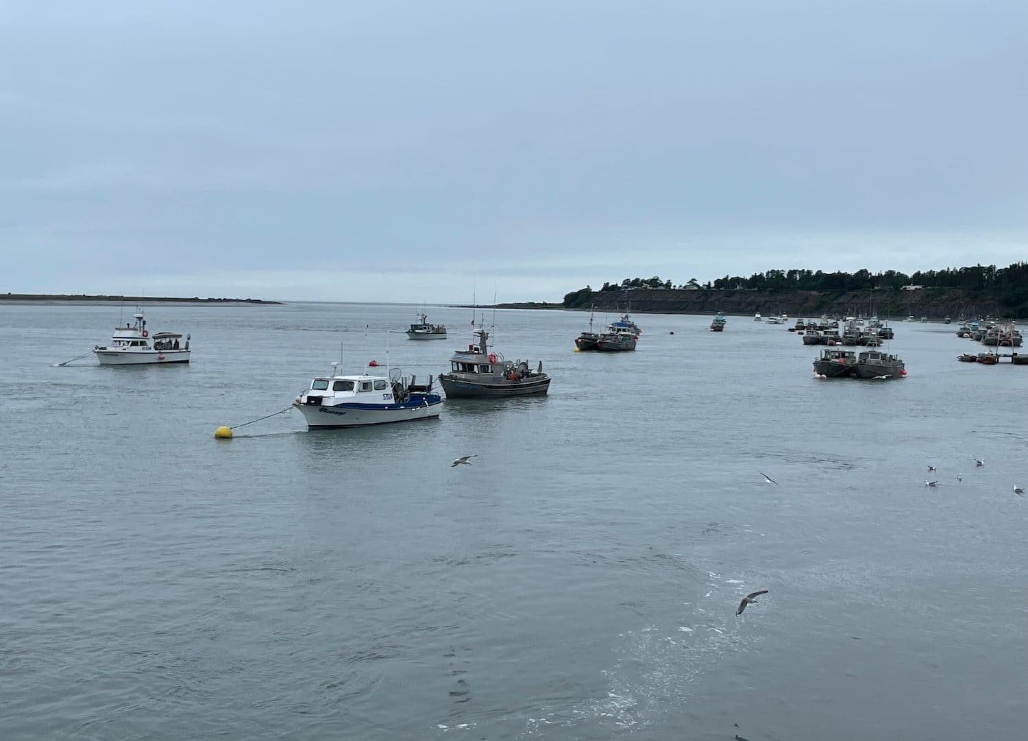 Pacific Star Seafoods