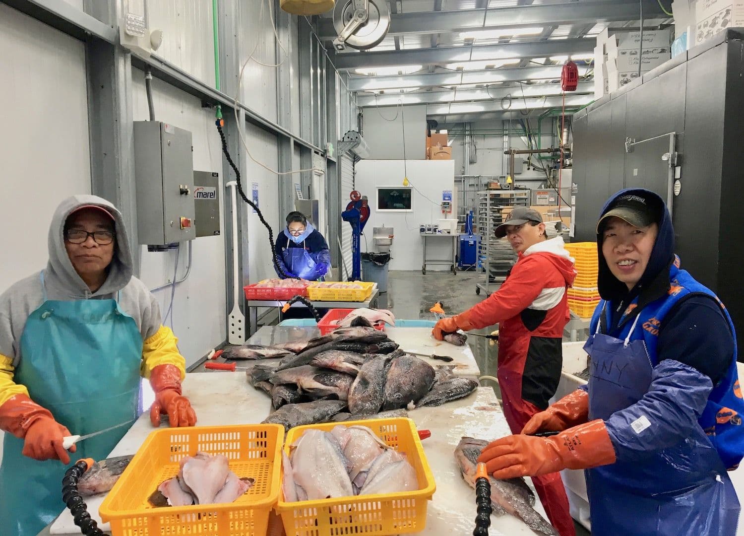 Kodiak Island Wildsource