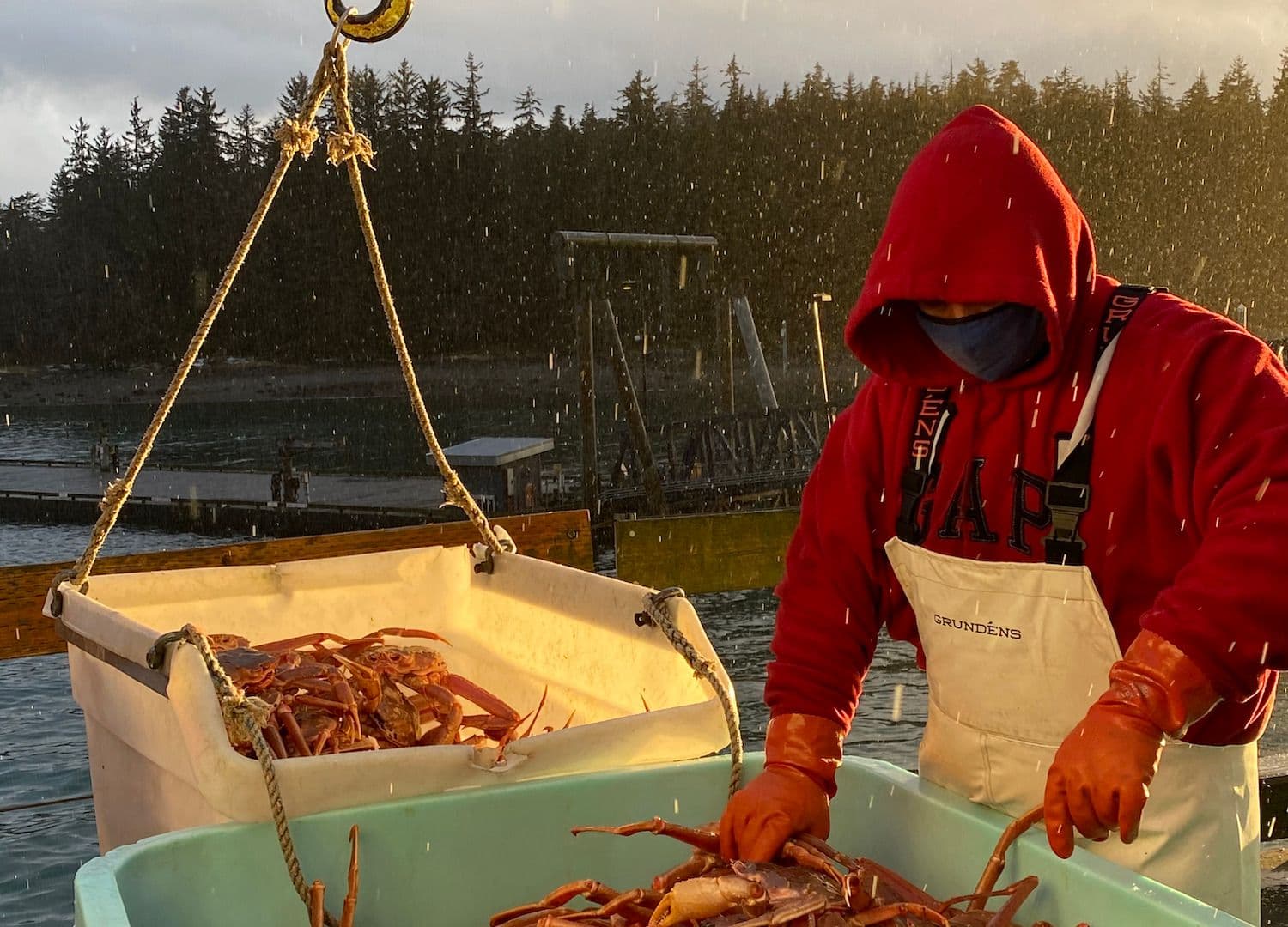 Alaska Glacier Seafoods