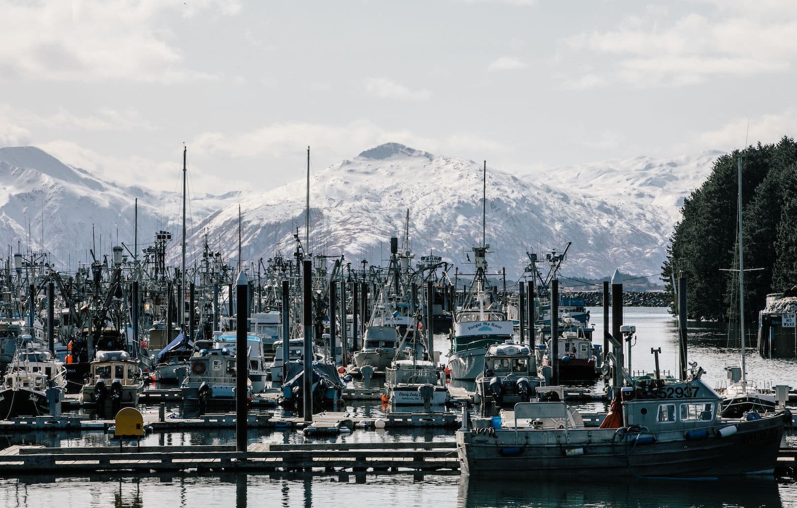 Alaska Pacific Seafoods